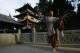 Chinese martial arts is structured and technically-sound.