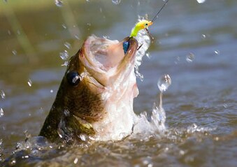 Bass-fishing-tips-2_original_crop_exact