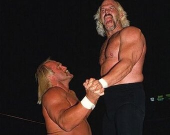 Jesse-ventura-hulk-hogan_crop_exact