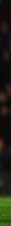 134636042_crop_exact