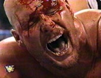 Wrestlemania13_crop_exact