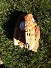 Glovestory1_crop_exact