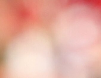 129038784_crop_exact