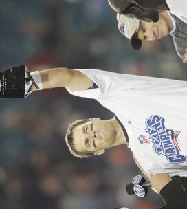 Bradypicgettynew_original_crop_exact