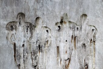 Hi-res-149042854_crop_exact