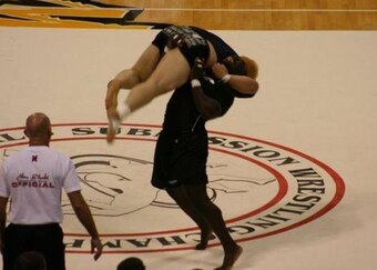 Ferg2005_crop_exact