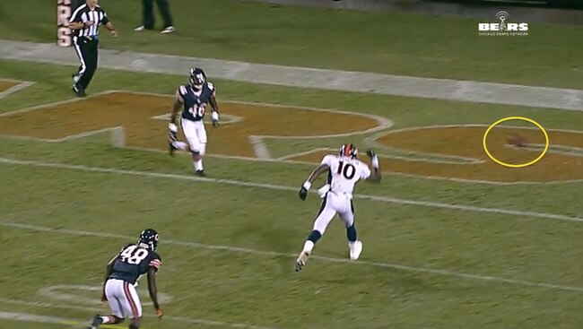 Bearsbroncos6_crop_exact