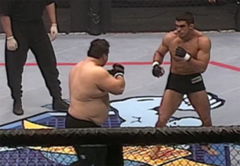 390x270xvitor-belfort