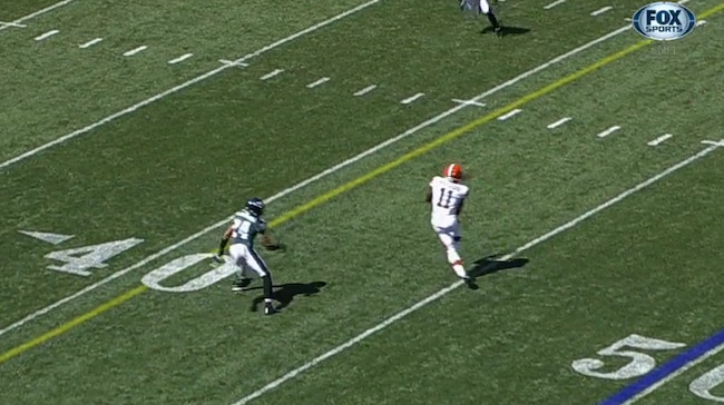 Weeden1_crop_exact