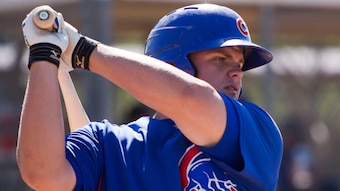 Vogelbach_original_crop_exact