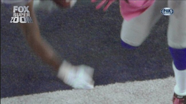 Snapshot52_crop_exact
