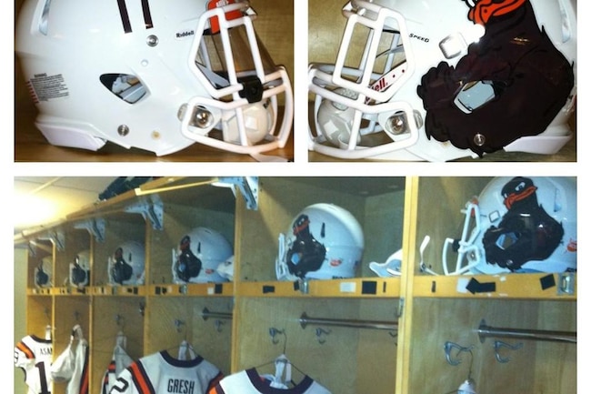 Zhokies_crop_north