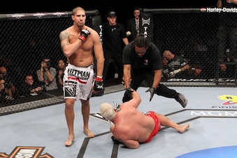 Schaub2_crop_exact