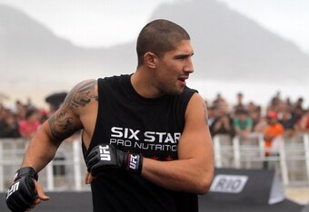 Schaub5_crop_exact