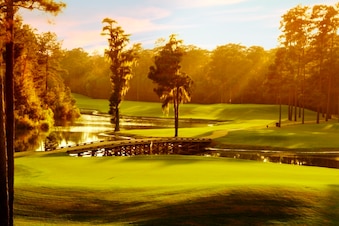_witchatduskpar4no6par37thgreen_crop_exact