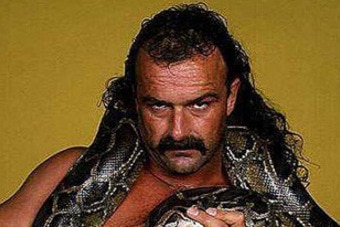 Jake-the-snake-roberts_crop_340x234_crop_exact