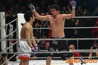 Diazgomi--sherdog_crop_exact