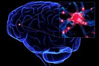 Braintrauma_original_original_crop_exact