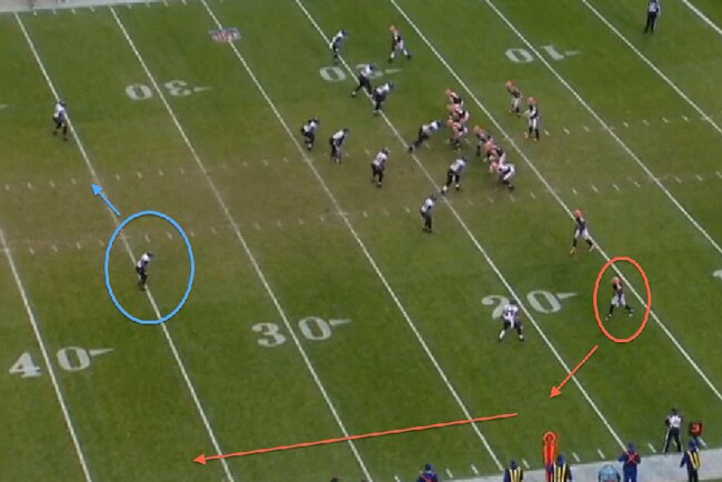 Edreed1_crop_exact
