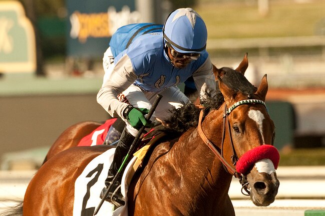 http://img.bleacherreport.net/img/article/media_slots/photos/000/800/805/goldencents_crop_exact.jpeg?w=650&h=433&q=85