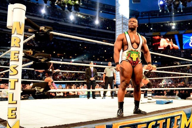 Wm29_photo_059_crop_exact