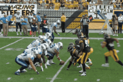 Troypolamalusack_crop_north