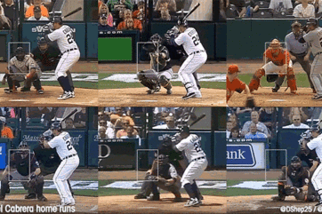 Miggy_grid_crop_north