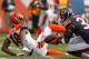 Charles Tillman has a nose for the ball and has two interceptions in 2013.