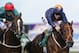 YARMOUTH, ENGLAND - SEPTEMBER 18: Tom Queally riding Oxsana (R) wins The British Stallion Studs/Green King EBF Maiden Stakes at Yarmouth racecourse on September 18, 2013 in Yarmouth, England. (Photo by Alan Crowhurst/Getty Images)
