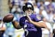 Sep 15, 2013; Baltimore, MD, USA; Baltimore Ravens quarterback Joe Flacco (5) drops back to pass against the Cleveland Browns during the first half at M&T Bank Stadium. Mandatory Credit: Brad Mills-USA TODAY Sports