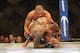 Sep 21, 2013; Toronto, Ontario, CAN; Renan Barao finishes off Eddie Wineland after connecting with a reverse kick during their interim bantamweight championship bout at UFC 165 at the Air Canada Centre. Mandatory Credit: Tom Szczerbowski-USA TODAY Sports