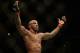 Apr 20, 2013; San Jose, CA, USA; Francis Carmont celebrates after defeating Lorenz Larkin (not pictured) during the middleweight bout prelims of the UFC on Fuel TV at HP Pavilion. Mandatory Credit: Kyle Terada-USA TODAY Sports