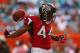 MIAMI GARDENS, FL - SEPTEMBER 22: Jason Snelling #44 of the Atlanta Falcons reacts to scoring a touchdown during a game against the Miami Dolphins at Sun Life Stadium on September 22, 2013 in Miami Gardens, Florida. (Photo by Mike Ehrmann/Getty Images)