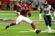 ATLANTA, GA - SEPTEMBER 15: Jason Snelling #44 of the Atlanta Falcons runs with a catch against the St. Louis Rams at the Georgia Dome on September 15, 2013 in Atlanta, Georgia. (Photo by Scott Cunningham/Getty Images)