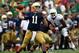 Notre Dame QB Tommy Rees