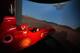 Codemasters wants to harness F1 simulator information