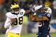 Michigan QB Devin Gardner