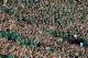 SOUTH BEND, IN - SEPTEMBER 21: Student fans of the Notre Dame Fighting Irish are seen during a game against the Michigan State Spartans at Notre Dame Stadium on September 21, 2013 in South Bend, Indiana. Notre Dame defeated Michigan State 17-13. (Photo by