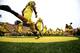 EUGENE, OR - SEPTEMBER 14: Players of the Oregon Ducks run on to the field before the game against the Tennessee Volunteers on September 14, 2013 at the Autzen Stadium in Eugene, Oregon. (Photo by Jonathan Ferrey/Getty Images)