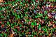 The Student Section looking good in Green