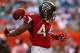 MIAMI GARDENS, FL - SEPTEMBER 22: Jason Snelling #44 of the Atlanta Falcons reacts to scoring a touchdown during a game against the Miami Dolphins at Sun Life Stadium on September 22, 2013 in Miami Gardens, Florida. (Photo by Mike Ehrmann/Getty Images)