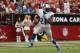 GLENDALE, AZ - SEPTEMBER 15: Running back Reggie Bush #21 of the Detroit Lions carries the ball against the Arizona Cardinals at University of Phoenix Stadium on September 15, 2013 in Glendale, Arizona. (Photo by Jeff Gross/Getty Images)
