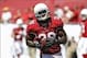 Sep 29, 2013; Tampa, FL, USA; Arizona Cardinals running back Rashard Mendenhall (28) works out prior to the game against the Tampa Bay Buccaneers at Raymond James Stadium. Mandatory Credit: Kim Klement-USA TODAY Sports