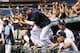 ST. PETERSBURG, FL - SEPTEMBER 12: Pitcher David Price #14 of the Tampa Bay Rays jumps ove the dugout wall after the final out against the Boston Red Sox September 12, 2013 at Tropicana Field in St. Petersburg, Florida. The Rays won 4 - 3. (Photo by Al M