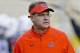 Auburn head coach Gus Malzahn