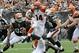 Sep 29, 2013; Cleveland, OH, USA; Cincinnati Bengals quarterback Andy Dalton (14) tries to elude Cleveland Browns defense during the third quarter at FirstEnergy Stadium. The Browns beat the Bengals 17-6. Mandatory Credit: Ken Blaze-USA TODAY Sports