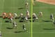 The Redskins use two tight ends to create an overloaded line.