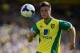 NORWICH, ENGLAND - AUGUST 31: Ricky van Wolfswinkel of Norwich City in action during the Barclays Premier League match between Norwich City and Southampton at Carrow Road on August 31, 2013 in Norwich, England. (Photo by Jamie McDonald/Getty Images)