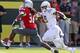 Marshall has topped 100 yards in three of Oregon's first five games.