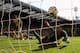 NORWICH, ENGLAND - OCTOBER 06: Anthony Pilkington of Norwich City turns to celebrate his goal as Petr Cech of Chelsea watches the ball go into the net during the Barclays Premier League match between Norwich City and Chelsea at Carrow Road on October 6,